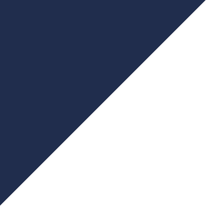 Navy/White